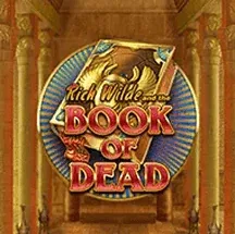 Book of Dead hos 20Bet Norge